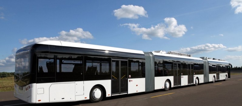 Big Bus-798x350