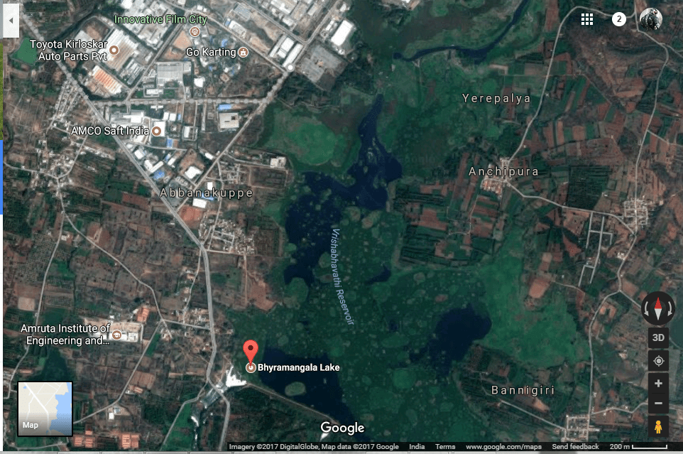 The byramangala lake, as seen from above. Google maps ( satellite view). its full of extra unwanted growth as clearly seen.